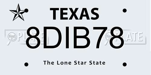 8DIB78 Texas License Plate
