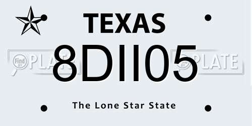 8DII05 Texas License Plate