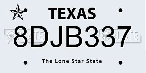 8DJB337 Texas License Plate