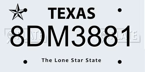 8DM3881 Texas License Plate