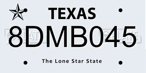 8DMB045 Texas License Plate