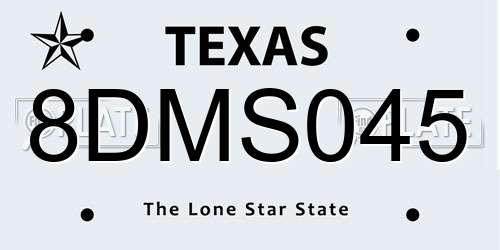 8DMS045 Texas License Plate