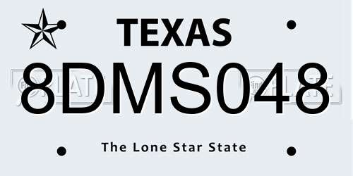 8DMS048 Texas License Plate