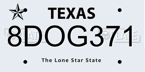 8DOG371 Texas License Plate