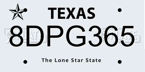 8DPG365 Texas License Plate