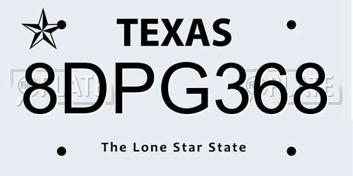 8DPG368 Texas License Plate