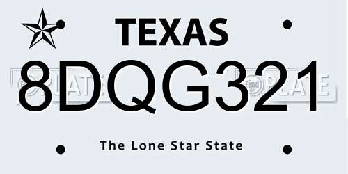 8DQG321 Texas License Plate