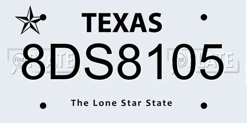8DS8105 Texas License Plate