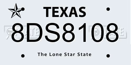 8DS8108 Texas License Plate