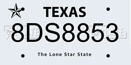 8DS8853 Texas License Plate