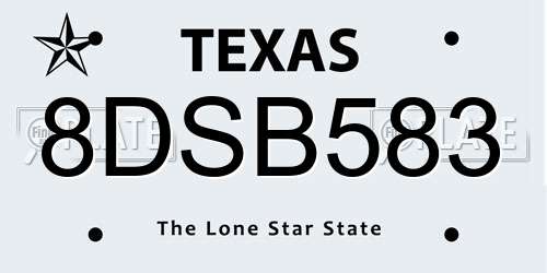 8DSB583 Texas License Plate