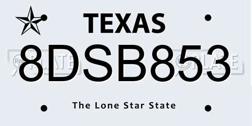 8DSB853 Texas License Plate