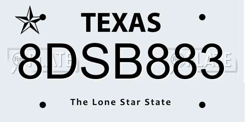 8DSB883 Texas License Plate