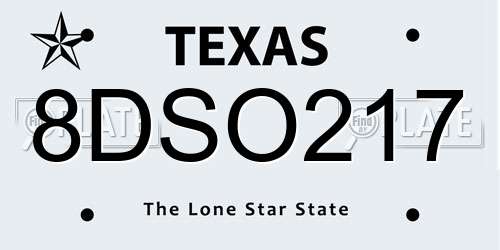 8DSO217 Texas License Plate