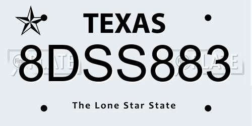 8DSS883 Texas License Plate