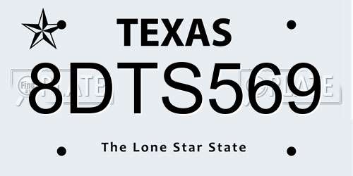 8DTS569 Texas License Plate
