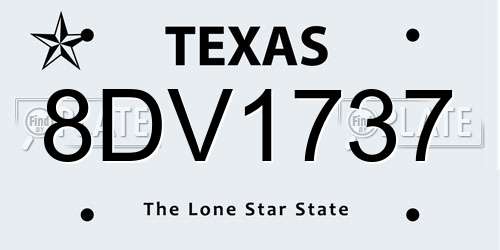 8DV1737 Texas License Plate