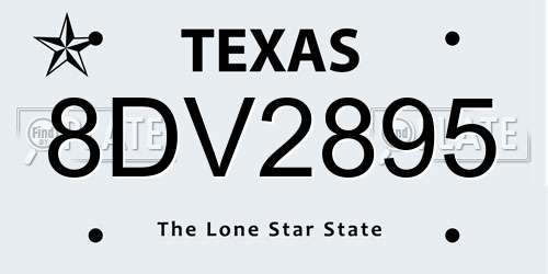 8DV2895 Texas License Plate