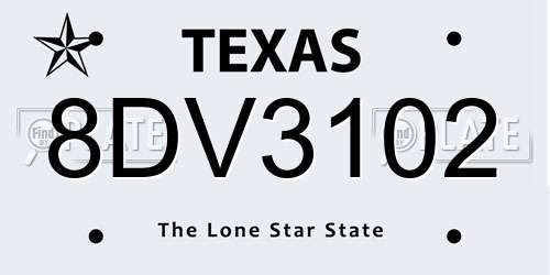 8DV3102 Texas License Plate