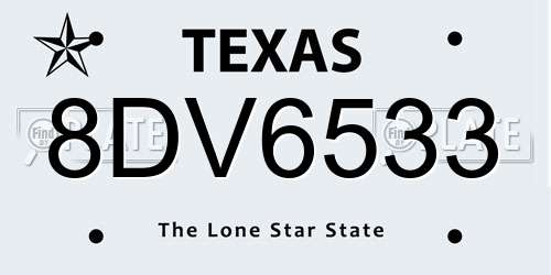 8DV6533 Texas License Plate