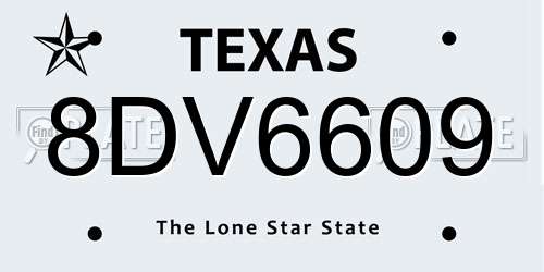 8DV6609 Texas License Plate