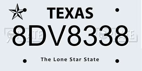 8DV8338 Texas License Plate