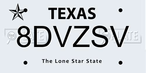 8DVZSV Texas License Plate