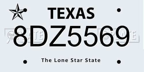 8DZ5569 Texas License Plate