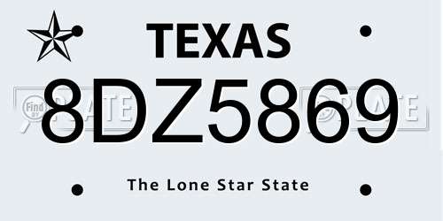 8DZ5869 Texas License Plate