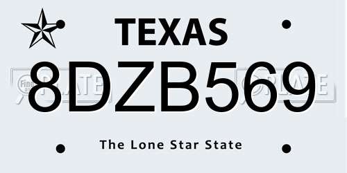 8DZB569 Texas License Plate
