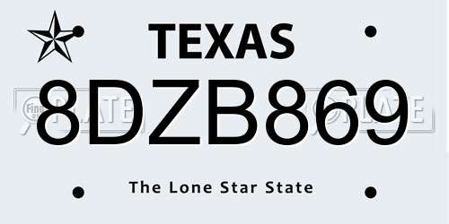 8DZB869 Texas License Plate