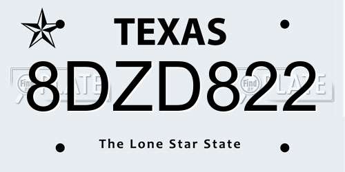 8DZD822 Texas License Plate