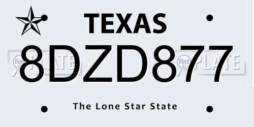 8DZD877 Texas License Plate