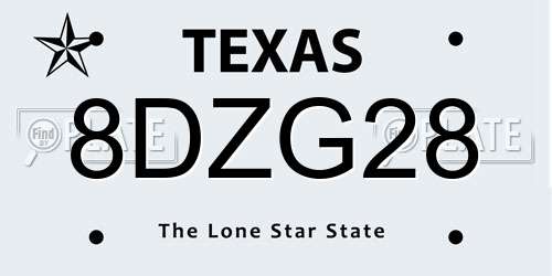 8DZG28 Texas License Plate