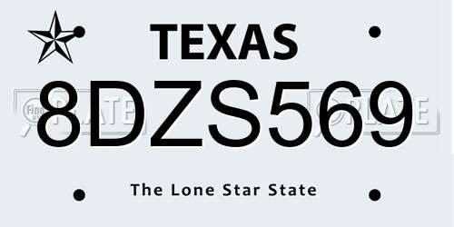 8DZS569 Texas License Plate
