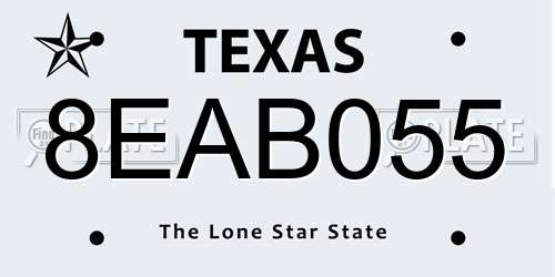 8EAB055 Texas License Plate