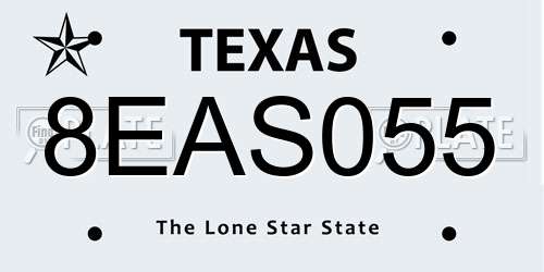 8EAS055 Texas License Plate