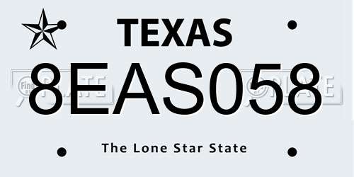 8EAS058 Texas License Plate