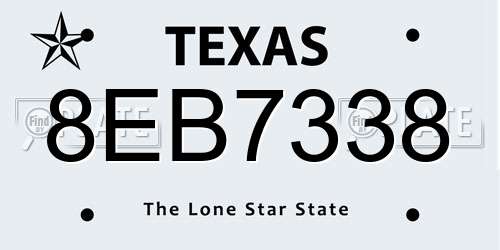 8EB7338 Texas License Plate
