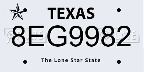 8EG9982 Texas License Plate