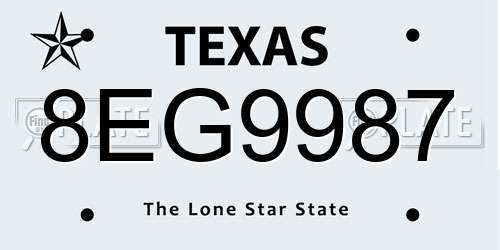 8EG9987 Texas License Plate