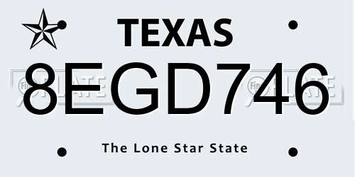 8EGD746 Texas License Plate