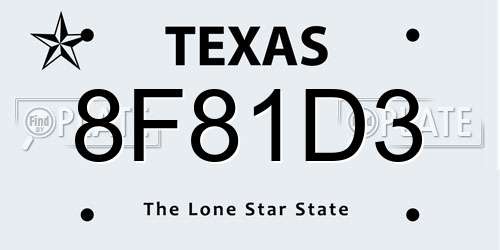 8F81D3 Texas License Plate