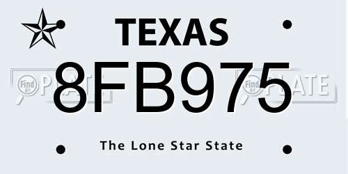 8FB975 Texas License Plate