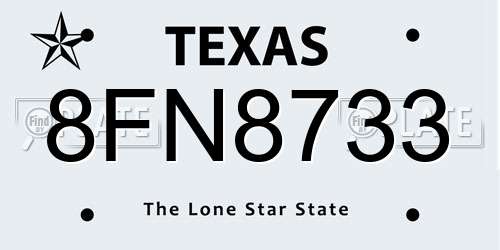 8FN8733 Texas License Plate