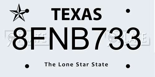 8FNB733 Texas License Plate