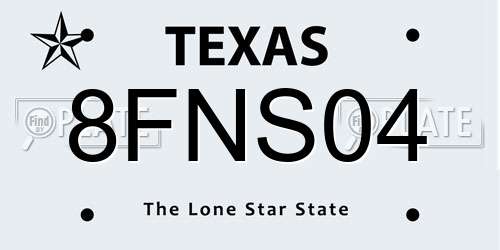8FNS04 Texas License Plate