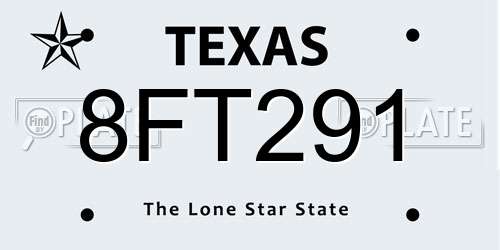 8FT291 Texas License Plate