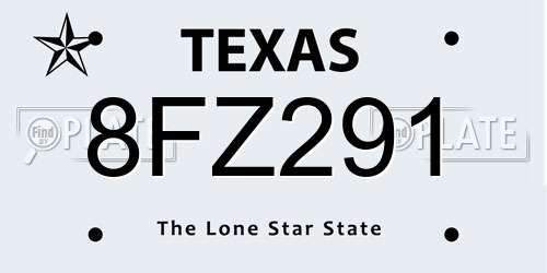 8FZ291 Texas License Plate