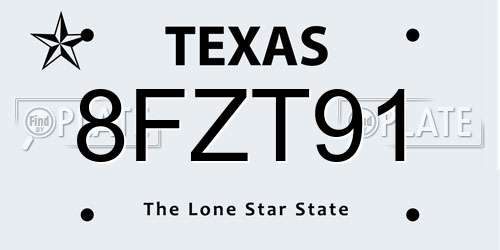 8FZT91 Texas License Plate